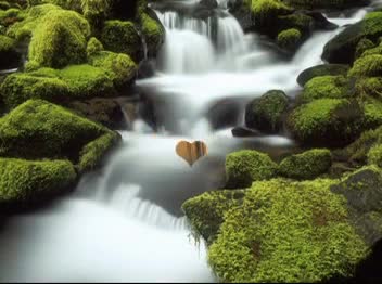 Akcent - I Turn Around the World