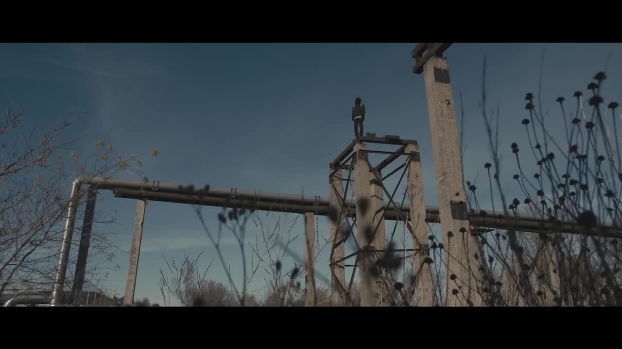 Alan Walker - Faded