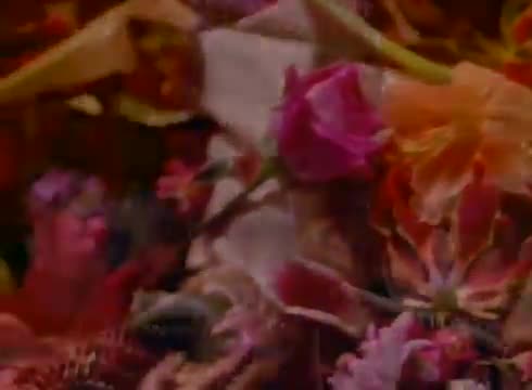Amber - This Is Your Night