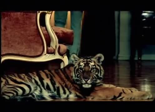 Андрей Губин - Я всегда с тобой