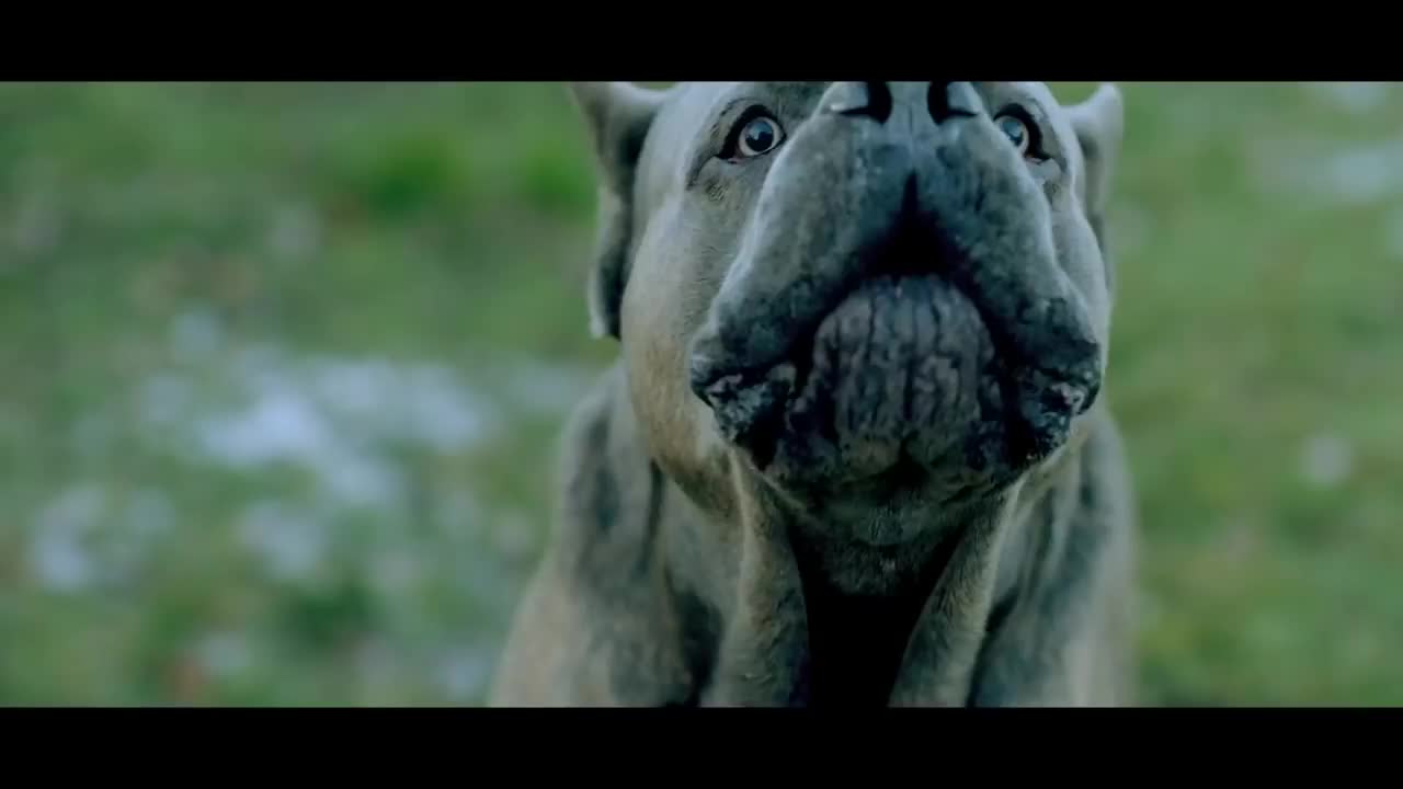 Ани Лорак - Снится сон