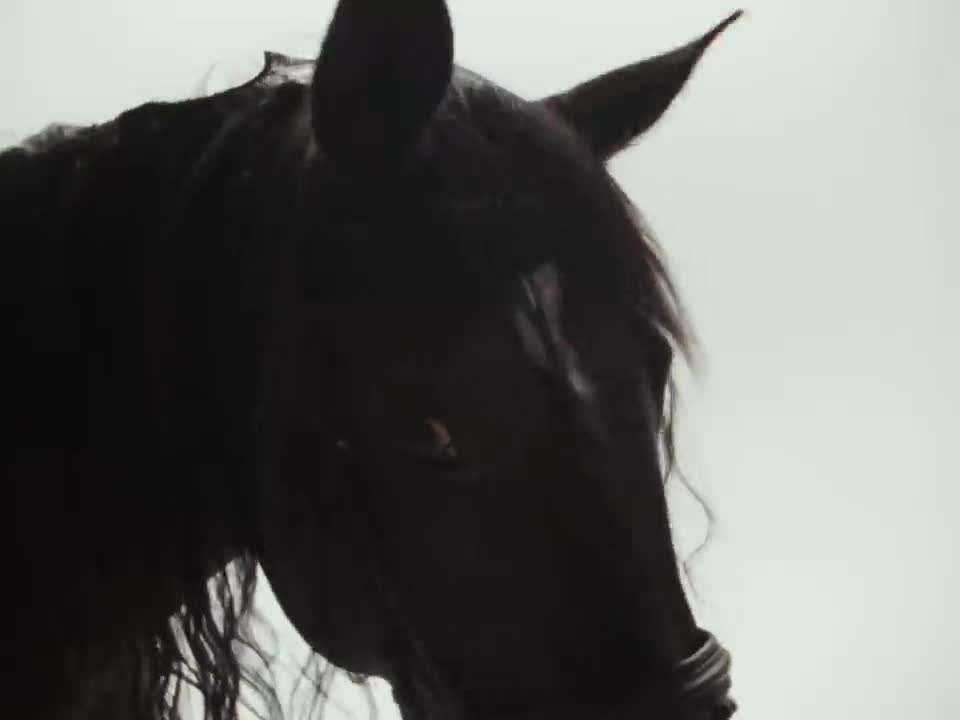 Bad Bunny - UN PREVIEW
