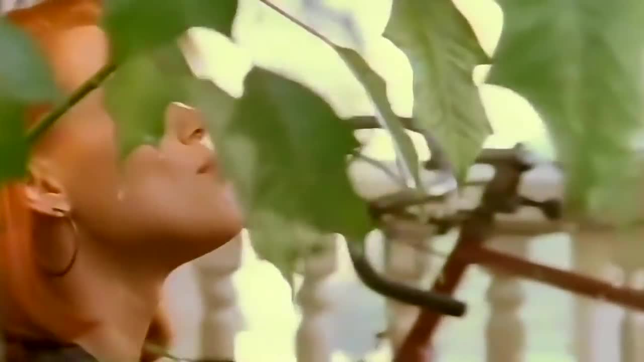 Belinda Carlisle - Summer Rain