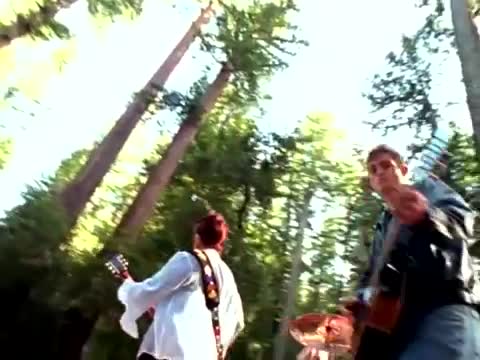 Belly - Feed the Tree
