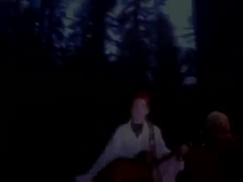 Belly - Feed the Tree