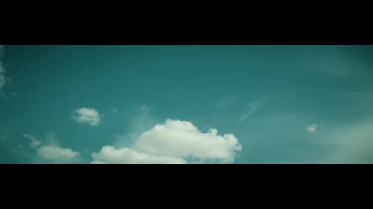 Belly - No Option
