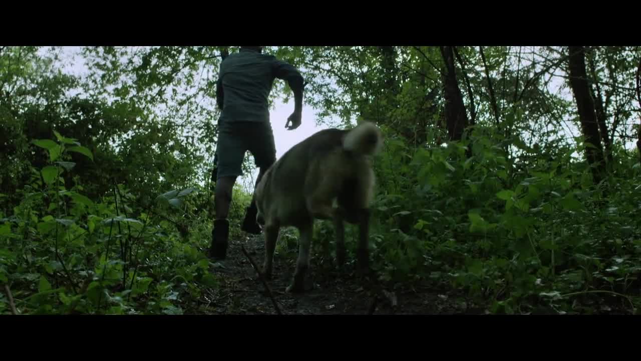 Black M - La nuit porte conseil