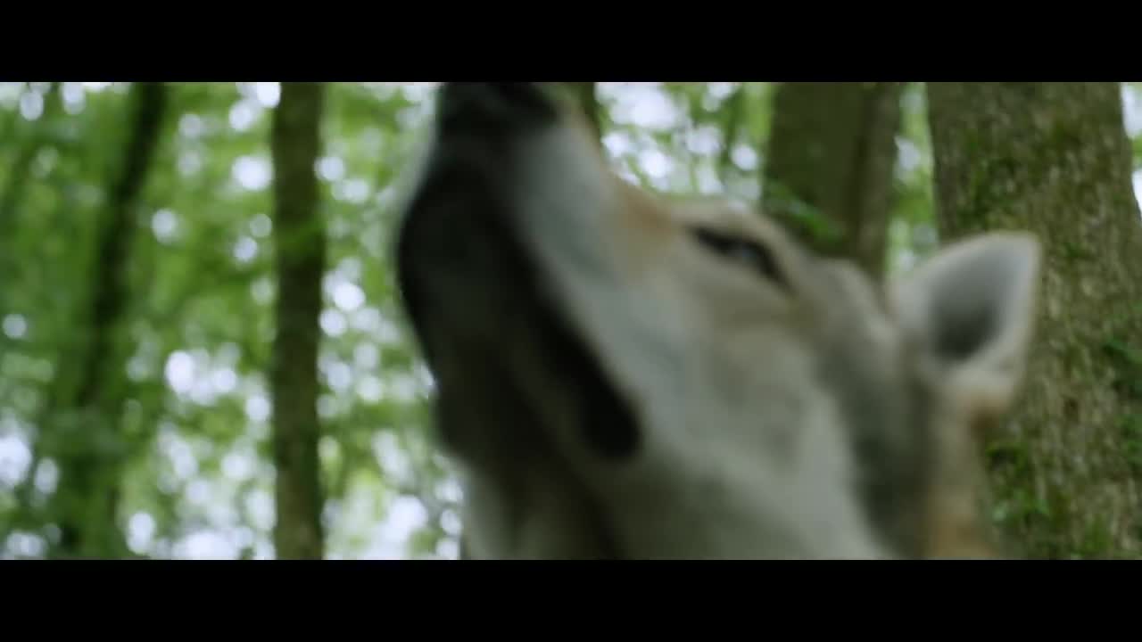 Black M - La nuit porte conseil