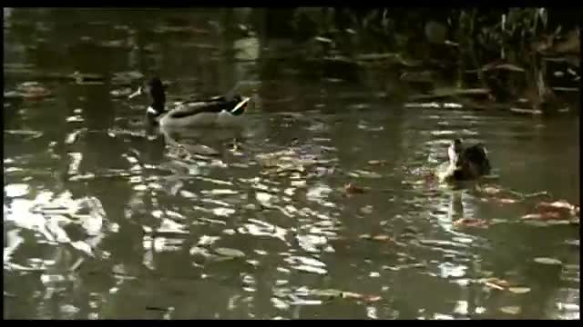 Boyz II Men - Doin Just Fine