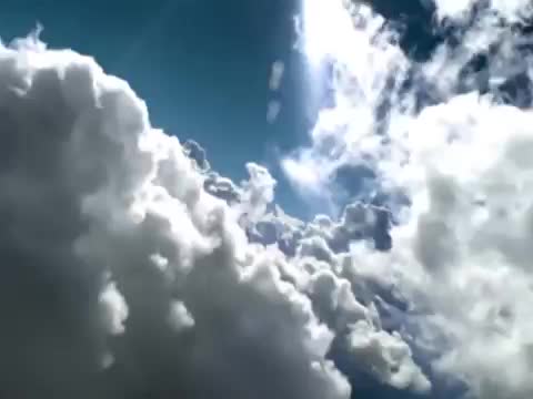 Busted - Air Hostess