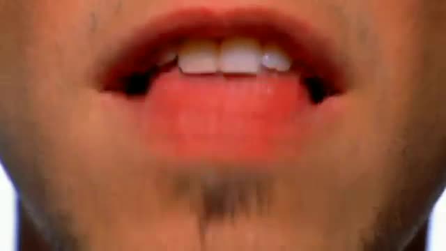 Calle 13 - Se Vale to To