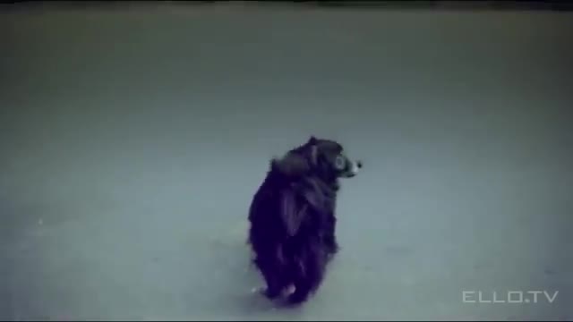 Чи-Ли - Можно всё!