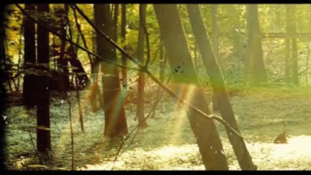 Childish Gambino - That Power