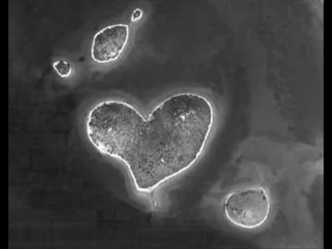 Coldplay - Warning Sign