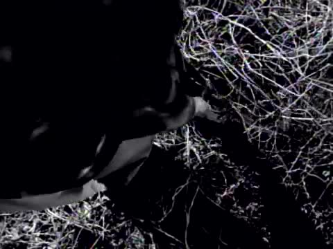 Collective Soul - Shine