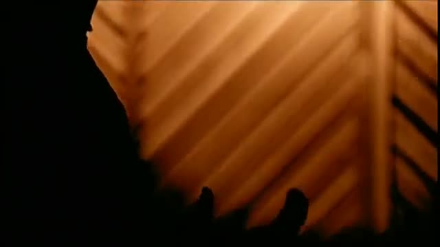 Darryl Worley - Have You Forgotten?