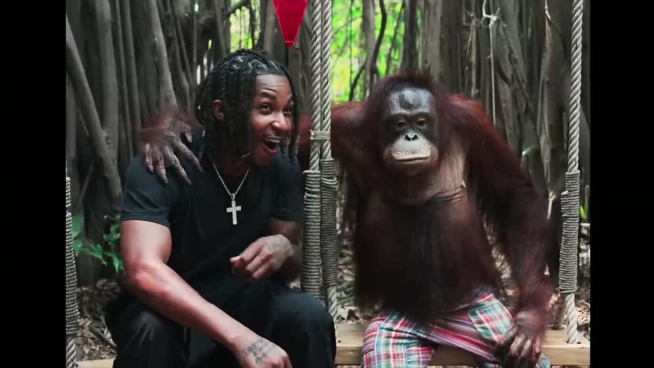 DDG - I’m Geekin