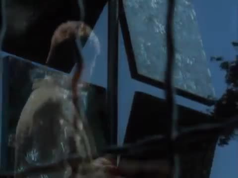 Depeche Mode - Everything Counts