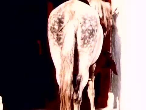 Depeche Mode - Personal Jesus