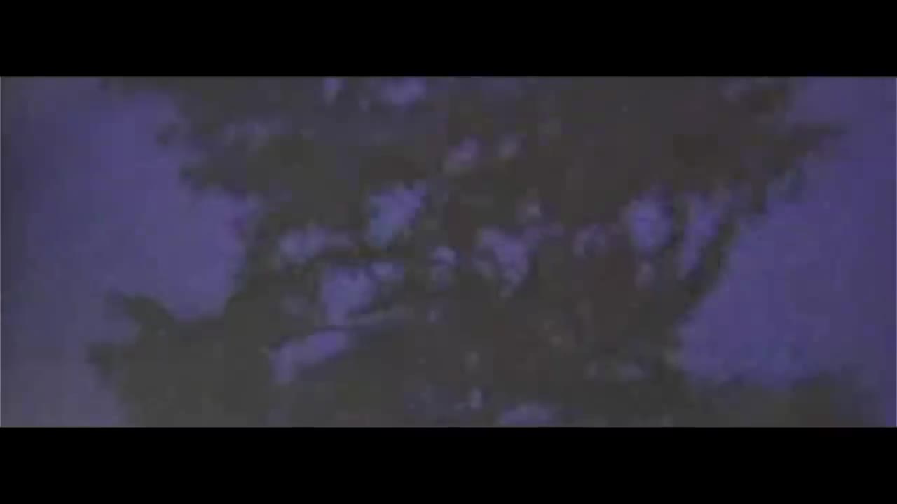 Dido - Hurricanes