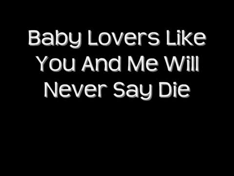 Dixie Chicks - Never Say Die