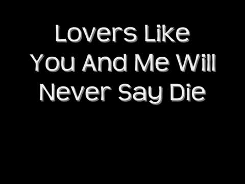 Dixie Chicks - Never Say Die