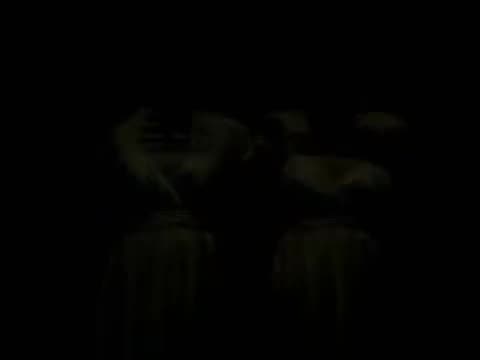 Dixie Chicks - Not Ready to Make Nice