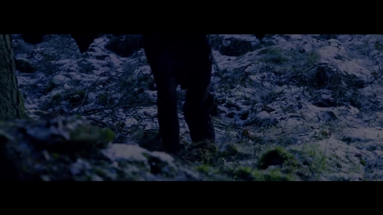 Don Diablo - Children of a Miracle