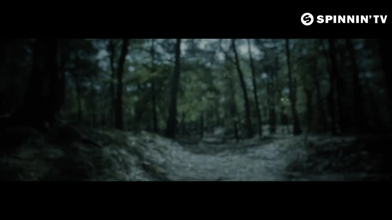 Don Diablo - Universe