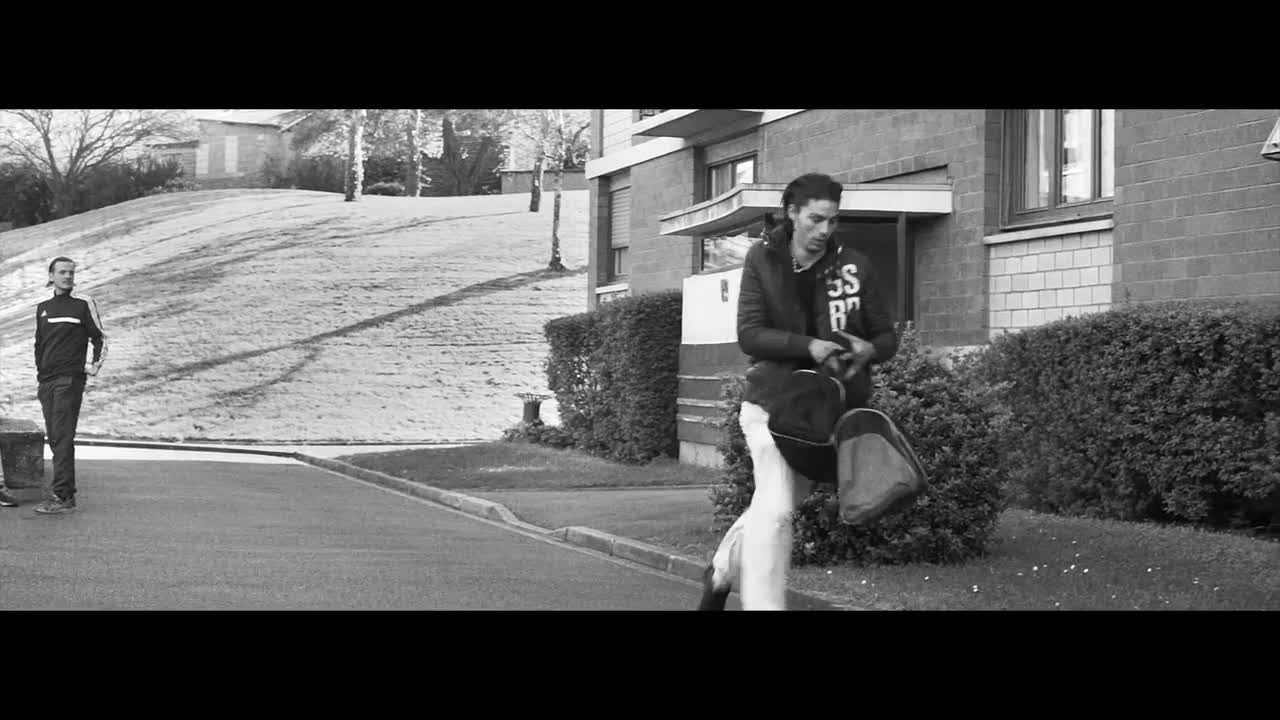 DTF - 100 rêves