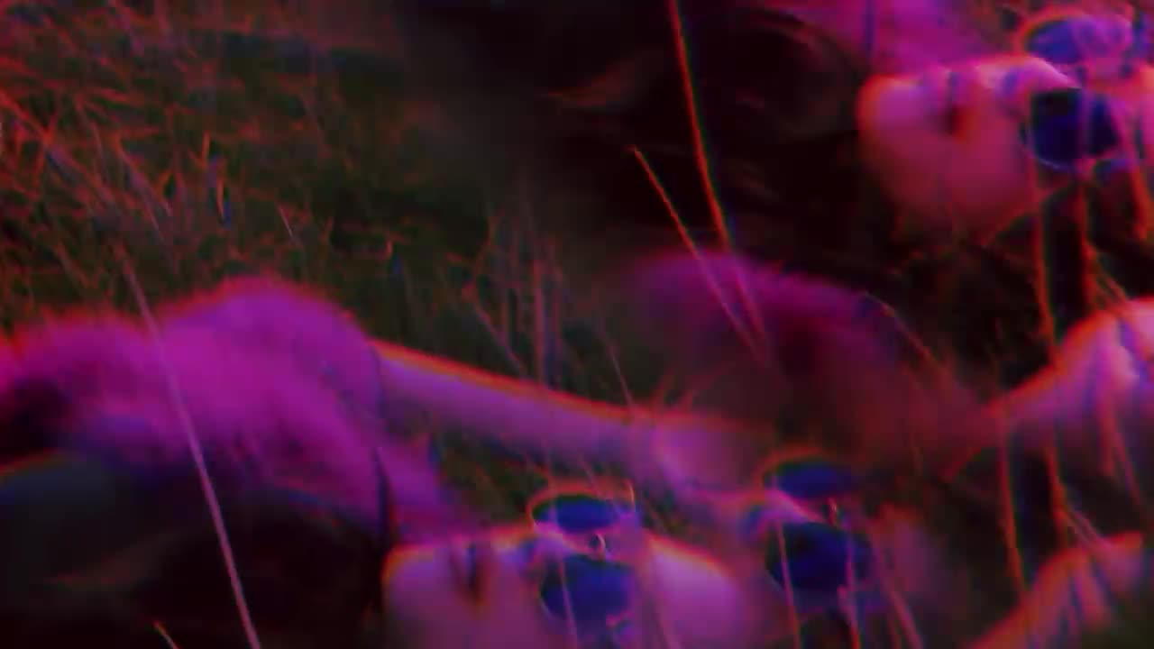 Dua Lipa - Be the One