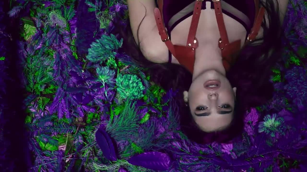 Dua Lipa - Last Dance