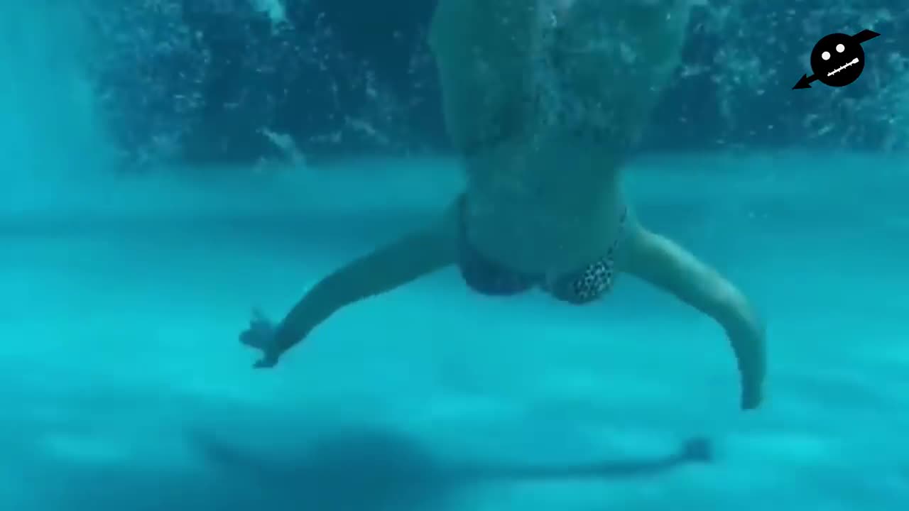 Dua Lipa - Want To