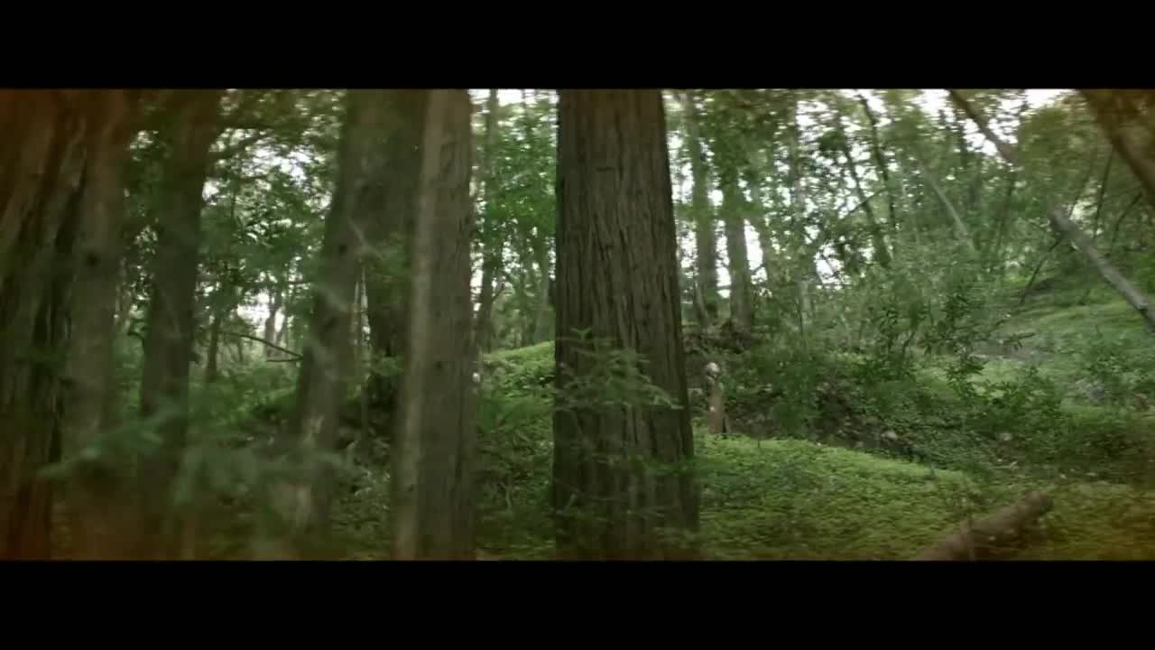 Empire of the Sun - Alive