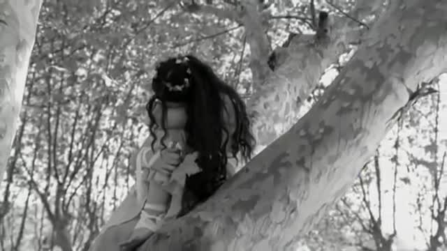 Evanescence - My Immortal