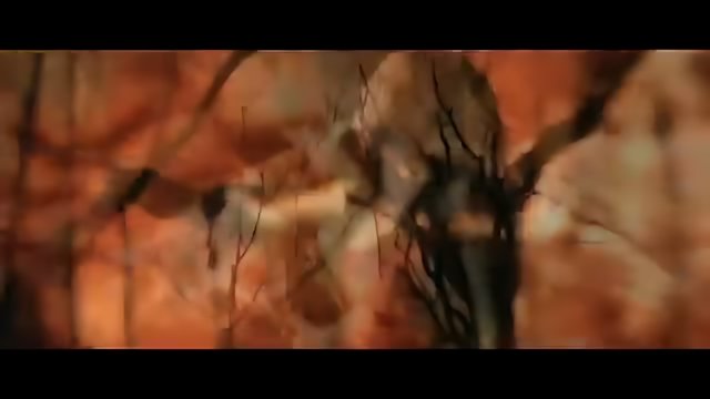 Evanescence - Sweet Sacrifice
