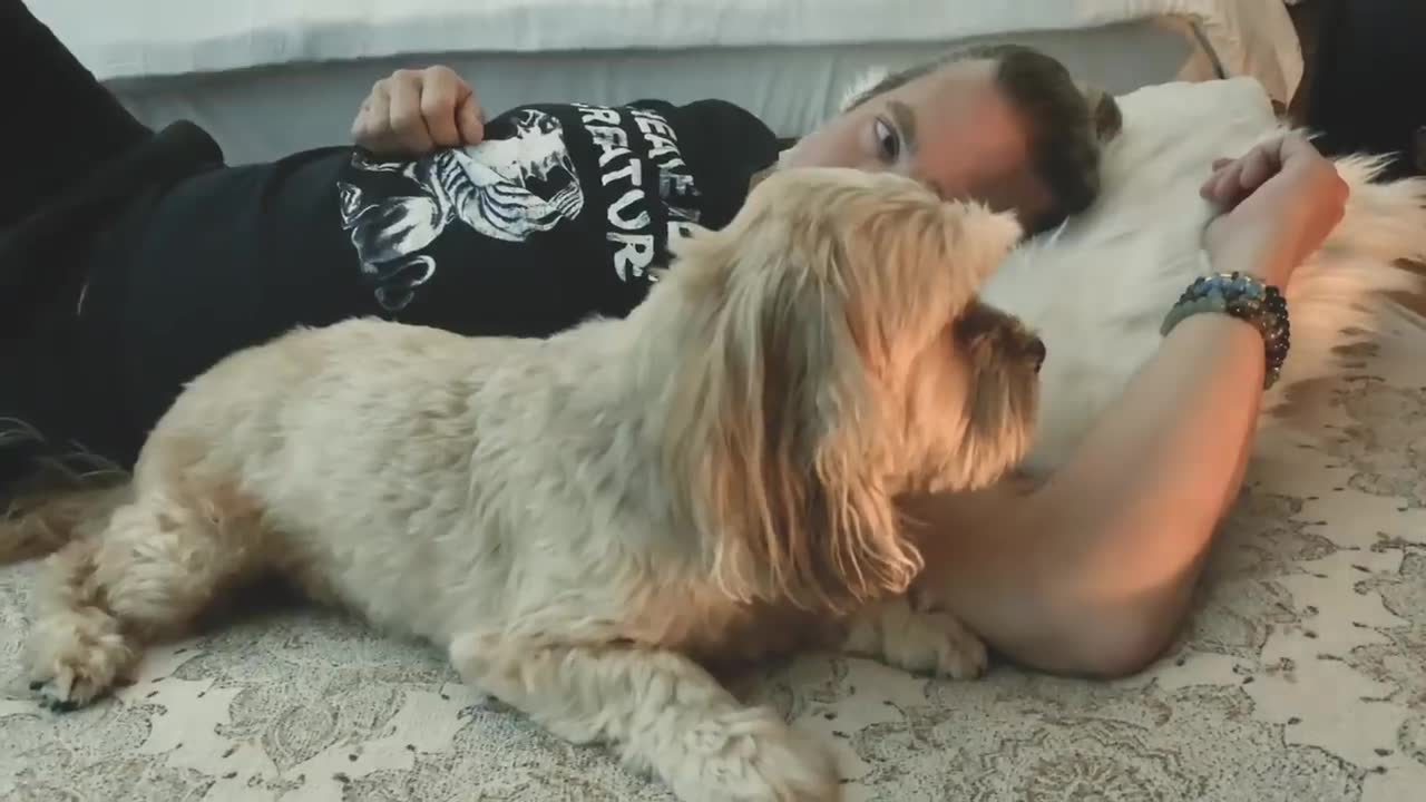 Evanescence - Wasted on You