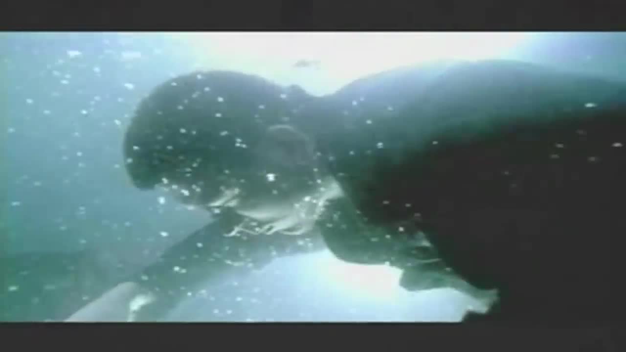 Everlast - What It's Like