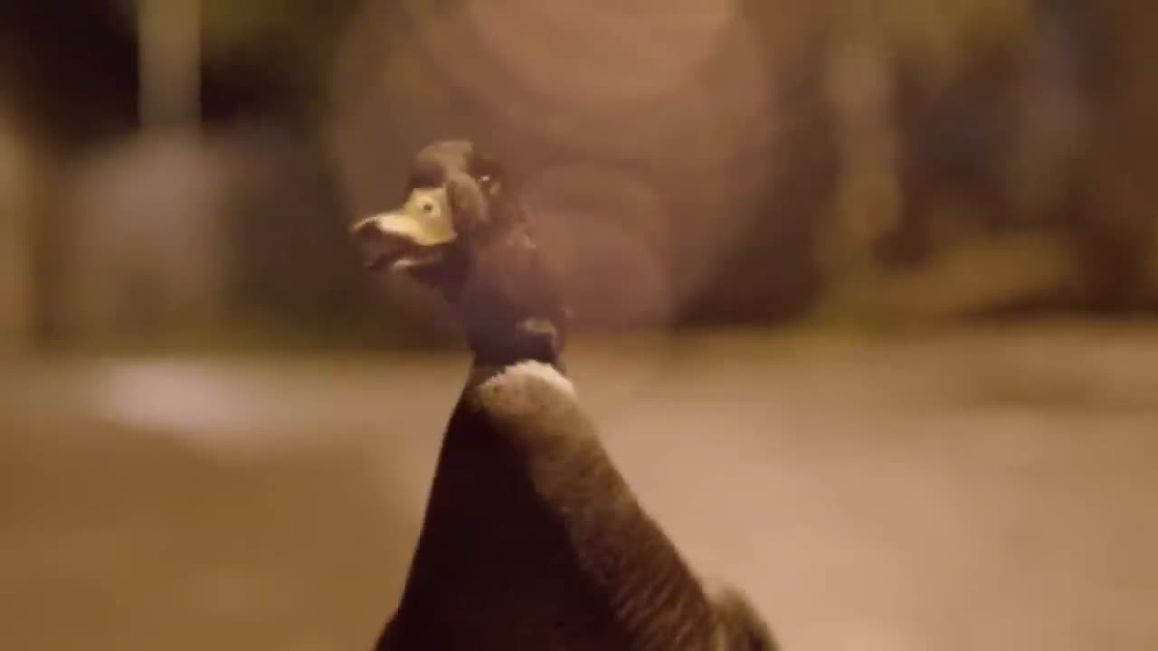 Far East Movement - Get Up (Rattle)