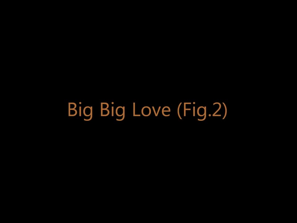 Foals - Big Big Love (Fig. 2)