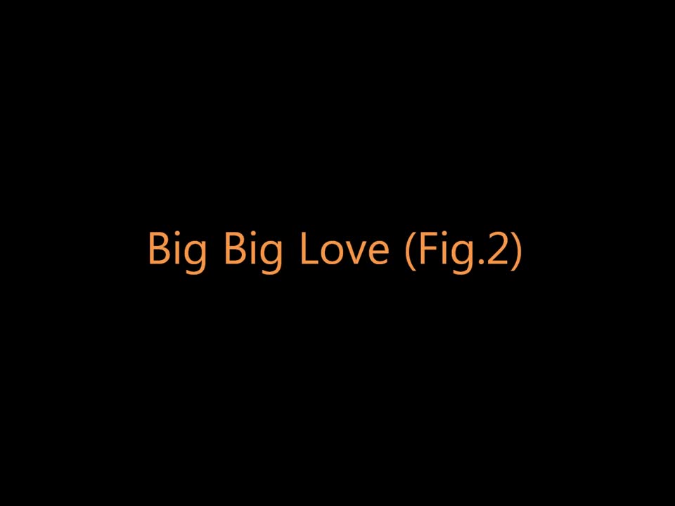 Foals - Big Big Love (Fig. 2)