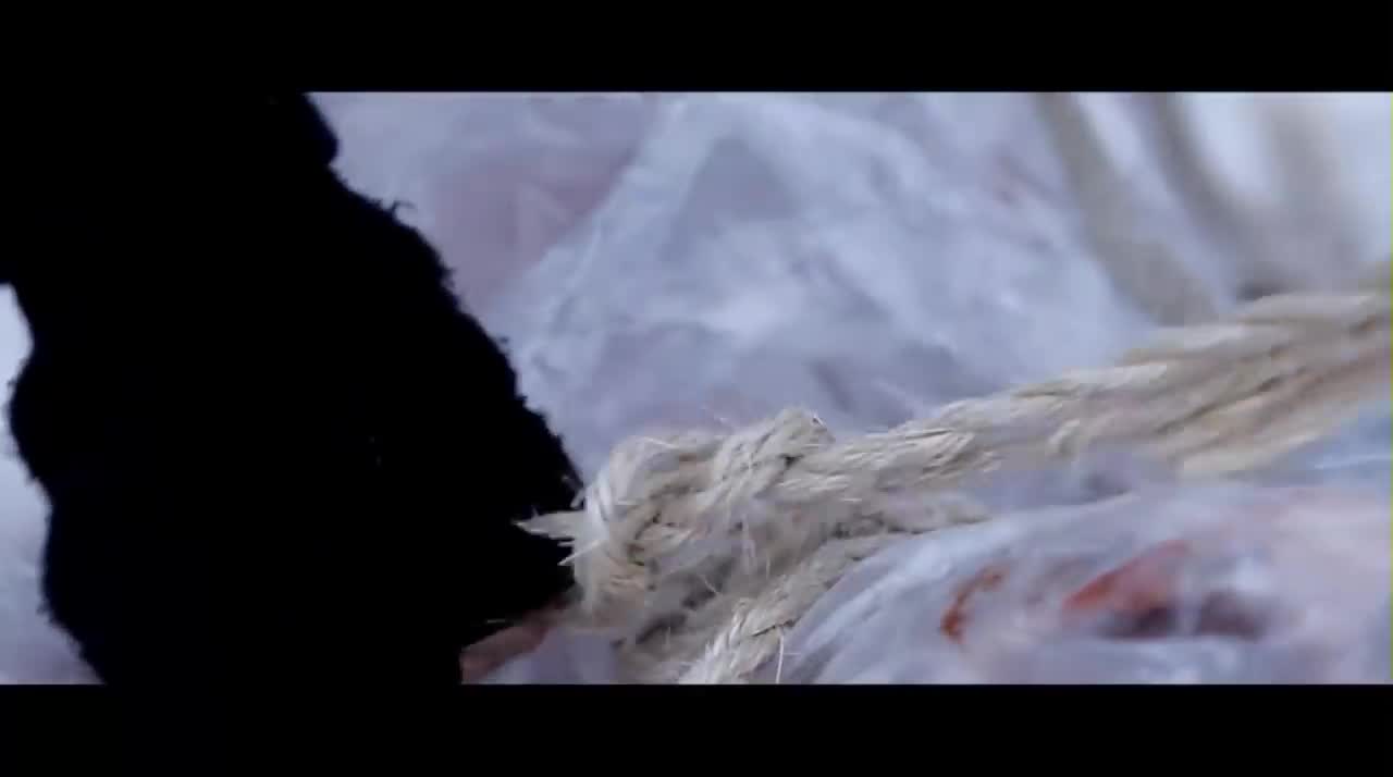 Foals - Spanish Sahara