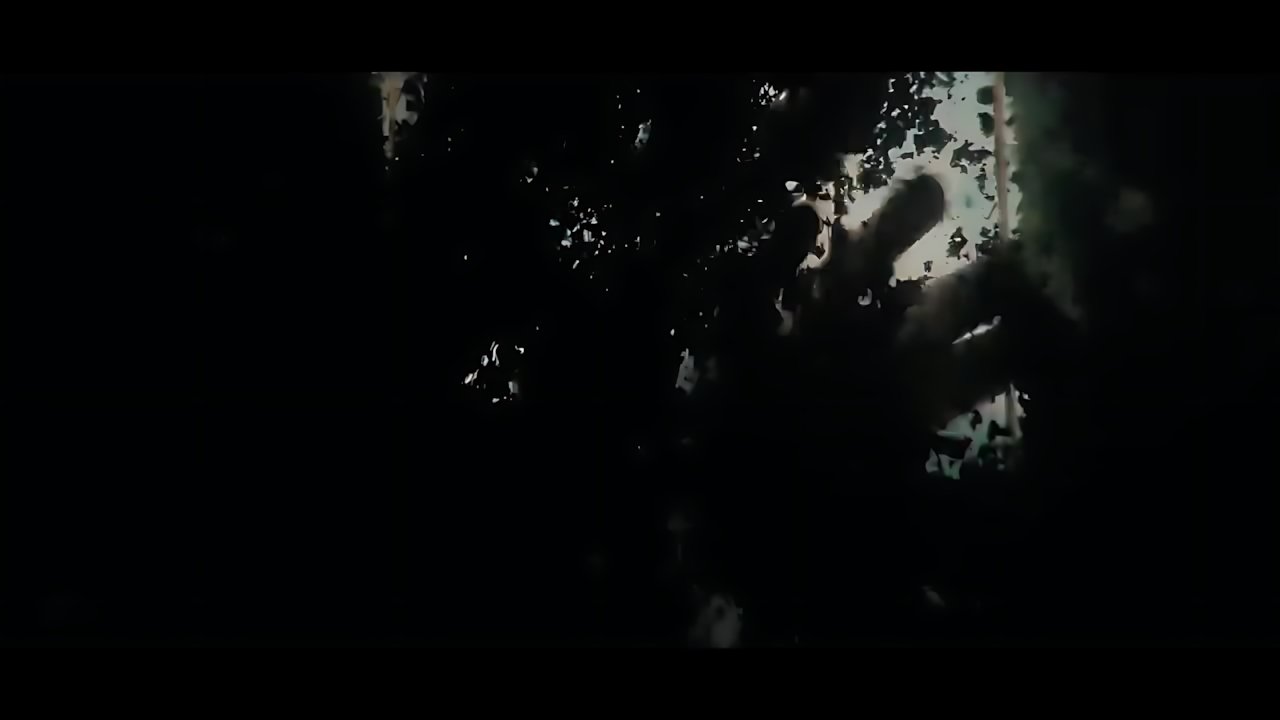 Гио Пика - Хвоя