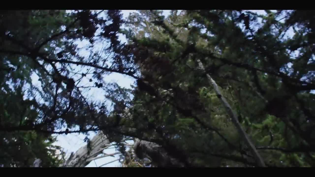 gnash - i hate u, i love u
