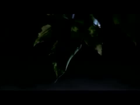 Goo Goo Dolls - Better Days