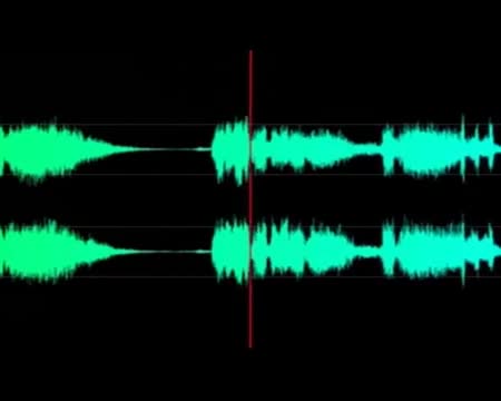 Gorillaz - Bill Murray