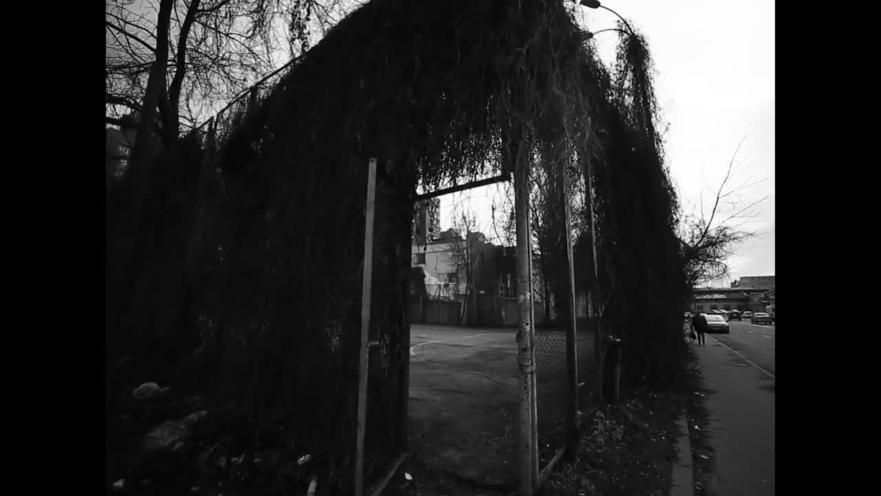 Грибы - Интро