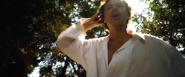 Harry Styles - Golden