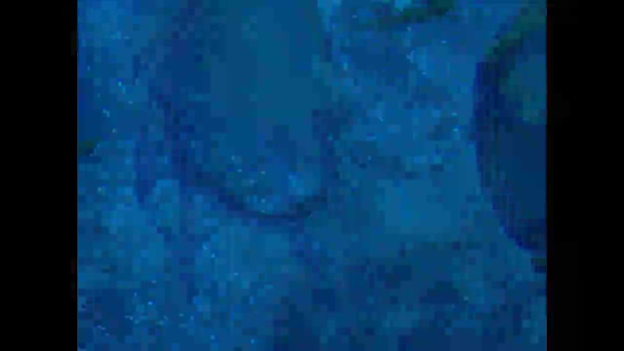 Hundred Waters - Boreal