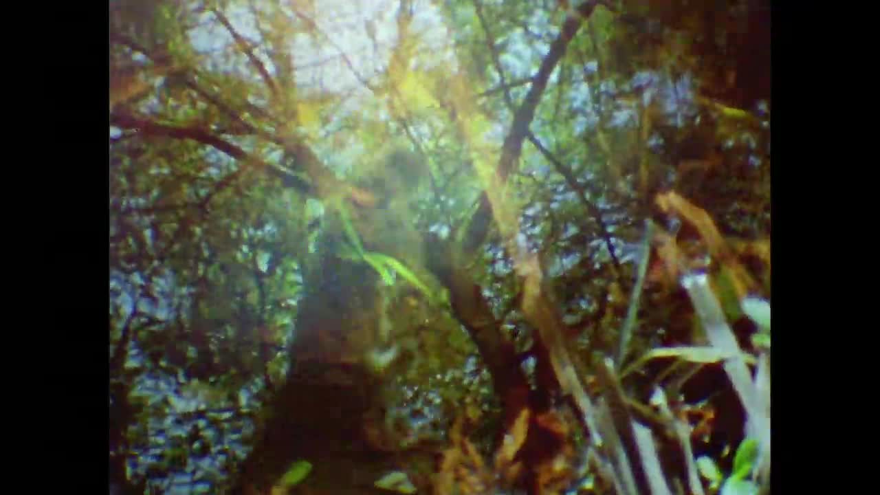 Hundred Waters - Boreal